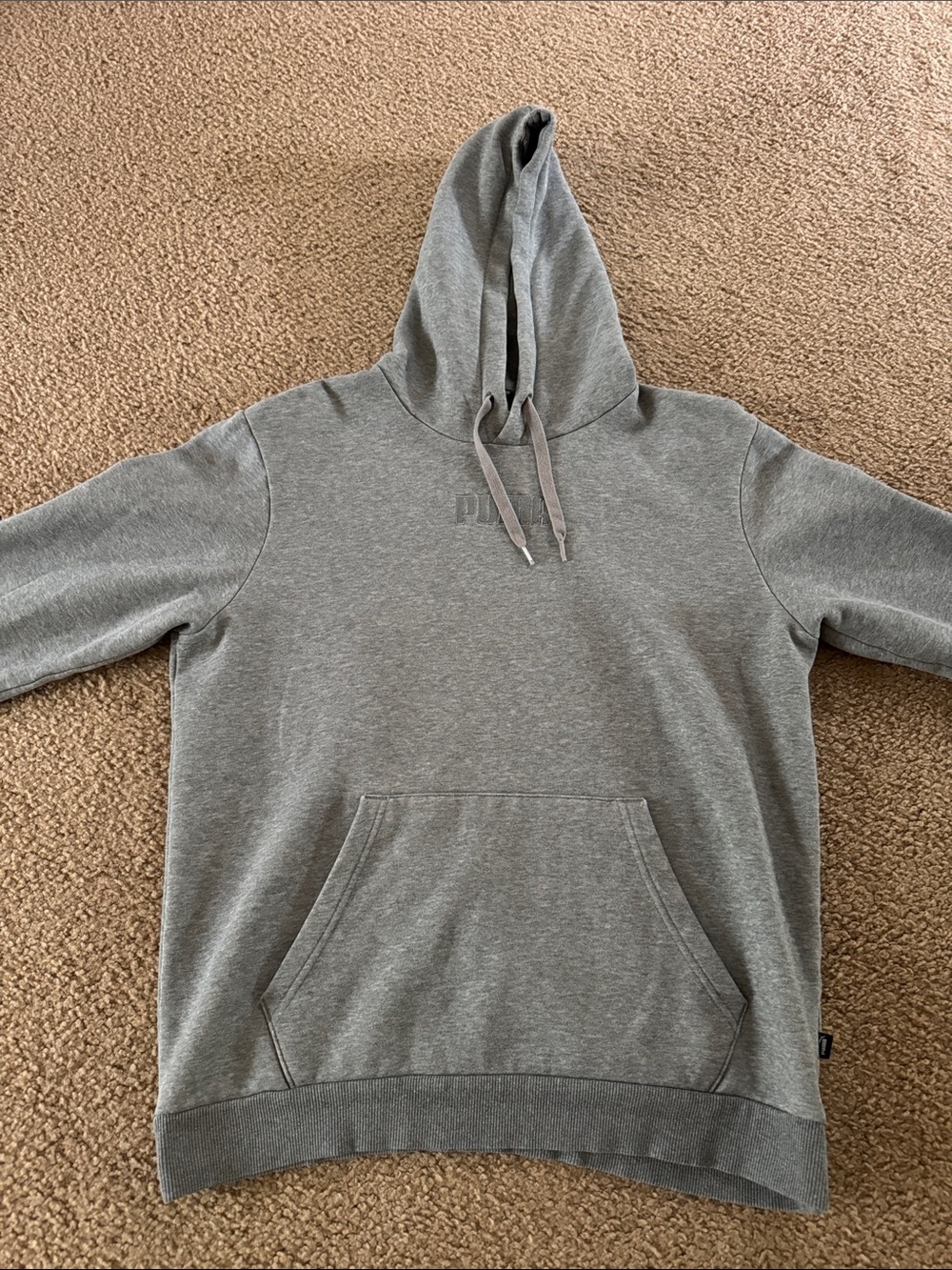 Puma womans Gray Hooded Pullover Sweatshirt